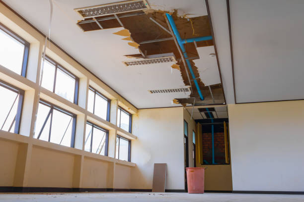 Best Water damage restoration services  in Deville, AL