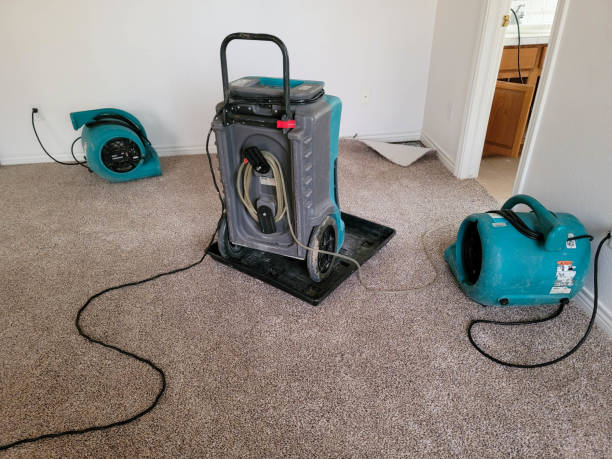 Best Flood damage cleanup  in Deville, AL