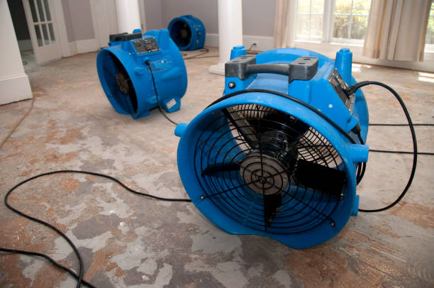 Best Water damage repair service  in Deville, AL