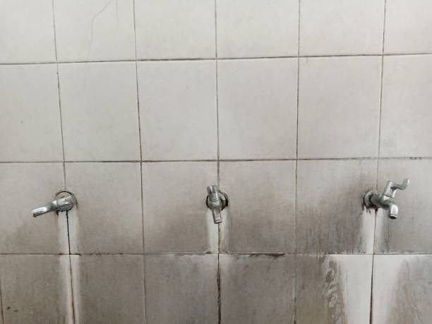 Best Emergency water damage restoration  in Deville, AL