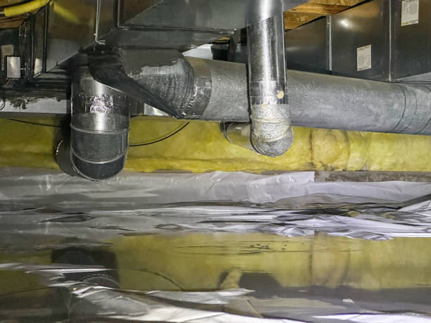 Best Sewage cleanup and water damage restoration  in Deville, AL