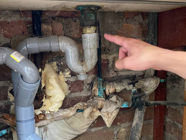 Best Flooded house restoration  in Deville, AL