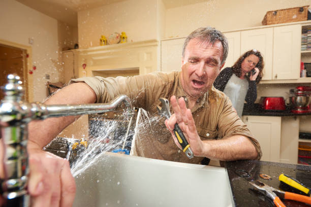 Best Basement water damage restoration  in Deville, AL